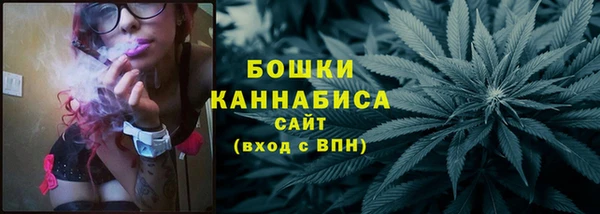 МДПВ Елабуга