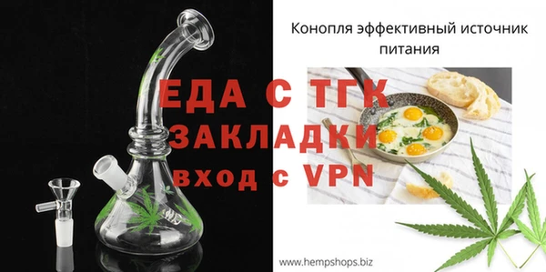 твердый Ельня