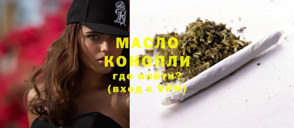 твердый Ельня