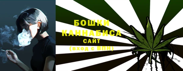 метадон Елизово