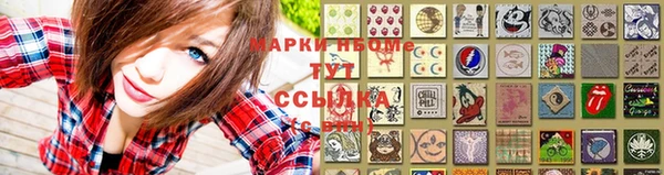 МДПВ Елабуга