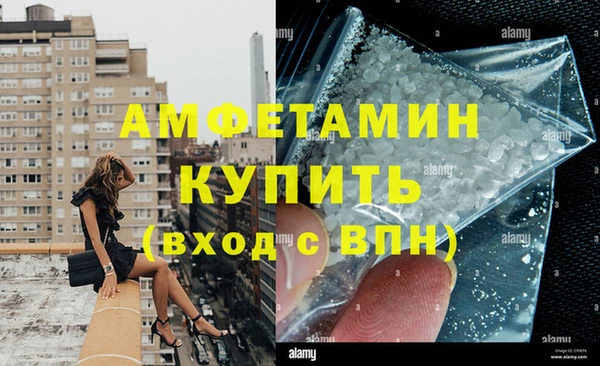 твердый Ельня