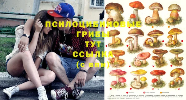 твердый Ельня