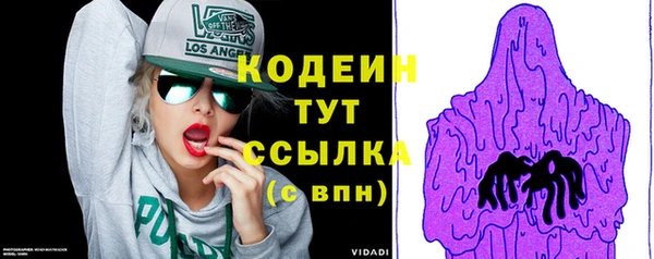 МДПВ Елабуга